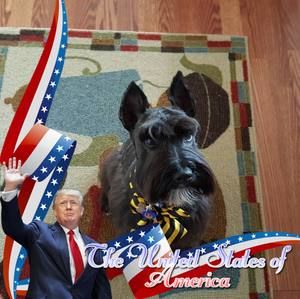 Meet your Posher, Ina